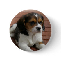 Beagle Puppy Dog Round Button