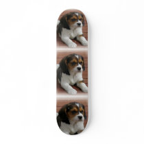 Beagle Puppy Dog Skateboard