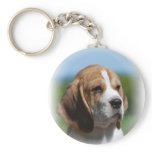 Beagle Puppy Keychain