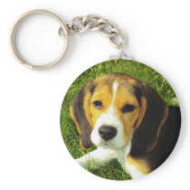 Beagle Puppy Keychain