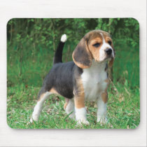 Beagle Puppy mousepads