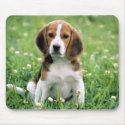 Beagle Puppy mousepads