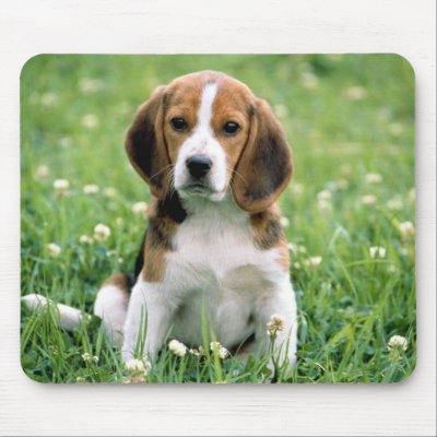 Beagle Puppy Mouse Mats by MuseMagic