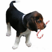 Beagle Puppy Ornament photo sculptures