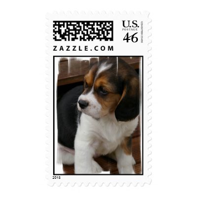Beagle Puppy Postage Stamp by DogPoundGifts