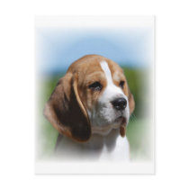 Beagle Puppy Postcard