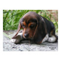 Beagle Puppy Poster posters by Mousefx Beagle Puppy Poster posters