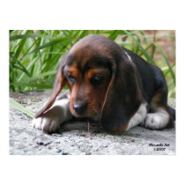 Beagle Puppy Poster posters