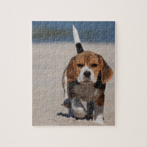 Beagle Puzzles Beagle Jigsaw Puzzles