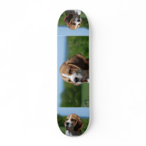 Beagle Puppy Skateboard