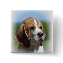 Beagle Puppy Square Button