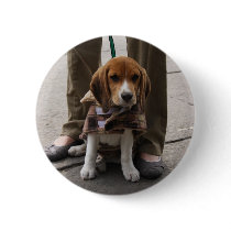 Beagle Puppy Tie buttons