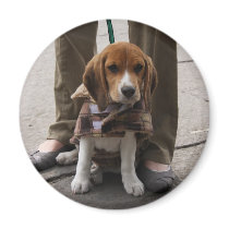 Beagle Puppy Tie magnets
