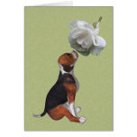 Beagle Puppy White Rose Blank Note Card