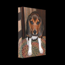 Beagle Puppy Wrapped Canvas canvas prints