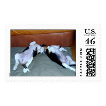 Beagle Pups Enjoying the holidays! Stamp