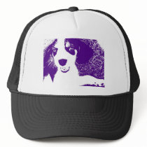 beagle purple hats by bachmans2 beagle purple hats