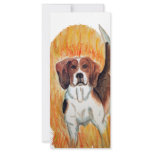 Beagle Rack Card