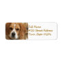 Beagle Return Address Label