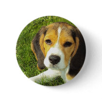 Beagle Round Button
