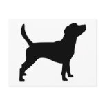 Beagle Silhouette (in black) Post Cards