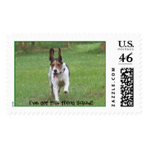 Beagle Slobber Postage Stamps