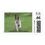 Beagle Slobber postage