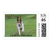 Beagle Slobber Postage Stamps