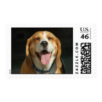 Beagle Smile Postage Stamp