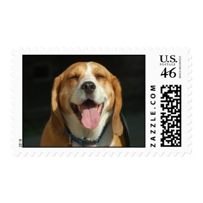 Beagle Smile Postage Stamp by BuffaloK
