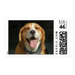 Beagle Smile Postage Stamp
