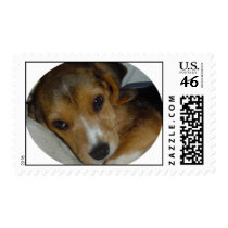 Beagle Stamp