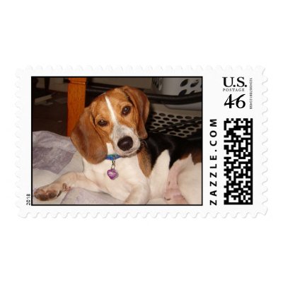 Beagle Stamp by Jazapan
