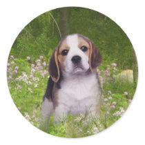 Beagle Sticker In Forest