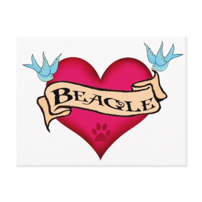Beagle Tattoo Heart Postcards by dogsandhorses