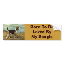Beagle Vintage Bumper Sticker bumper stickers by normagolden Beagle Vintage Bumper Sticker bumper stickers