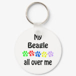 Beagle Walks Design Beagle Walks Design