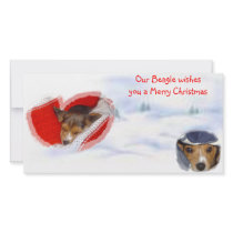 Beagle wishing a Merry Christmas photo cards by beagles2 Beagle wishing a Merry Christmas photo cards
