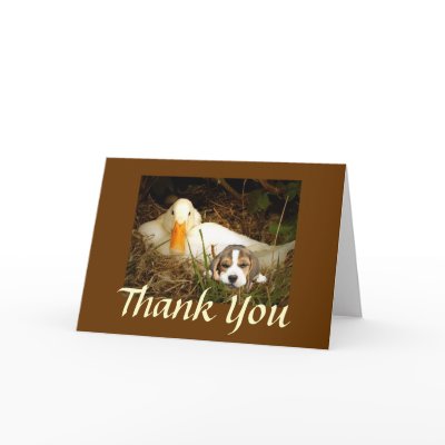 Beagle With Duck Thank You Card by normagolden