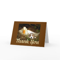 Beagle With Duck Thank You Card