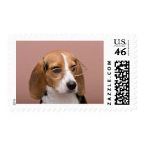 Beagle with Glasses Postage