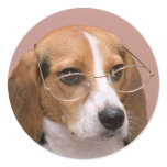 Beagle with Glasses Round Sticker