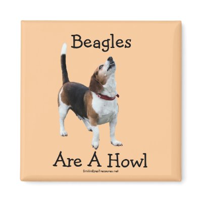 Beagles Are A Howl Dog Lover Photo Magnet by SmilinEyesTreasures