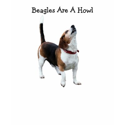 Beagles Are A Howl Dog Photo Funny T-Shirt by SmilinEyesTreasures
