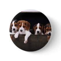 Beagles Pinback Buttons