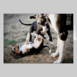 Beagles Can Be Tough Guys cards