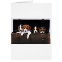 Beagles Greeting Card