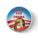 Beagles for Obama buttons