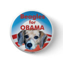Beagles for Obama buttons
