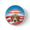 Beagles for Obama buttons